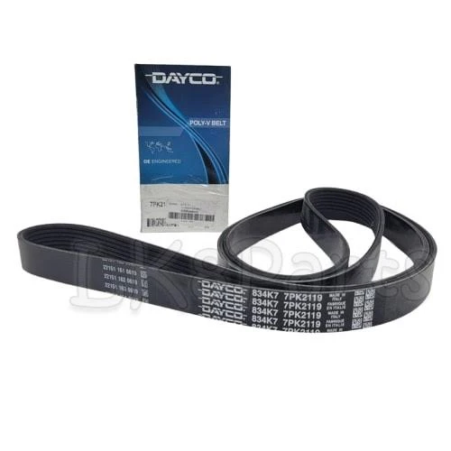 Serpentine Belt ERR4623D – DAYCO 3.9 / 4.2 V8 RRC Disco I