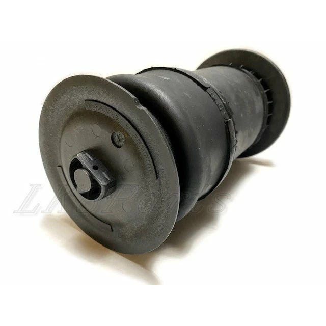 Front Air Spring Suspension Strut Set x2 Dunlop