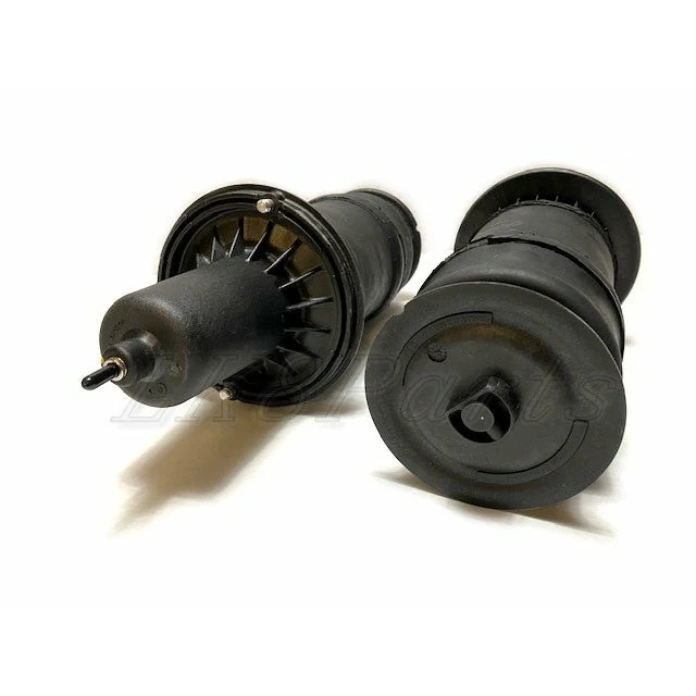 Front Air Spring Suspension Strut Set x2 Dunlop - Image 4