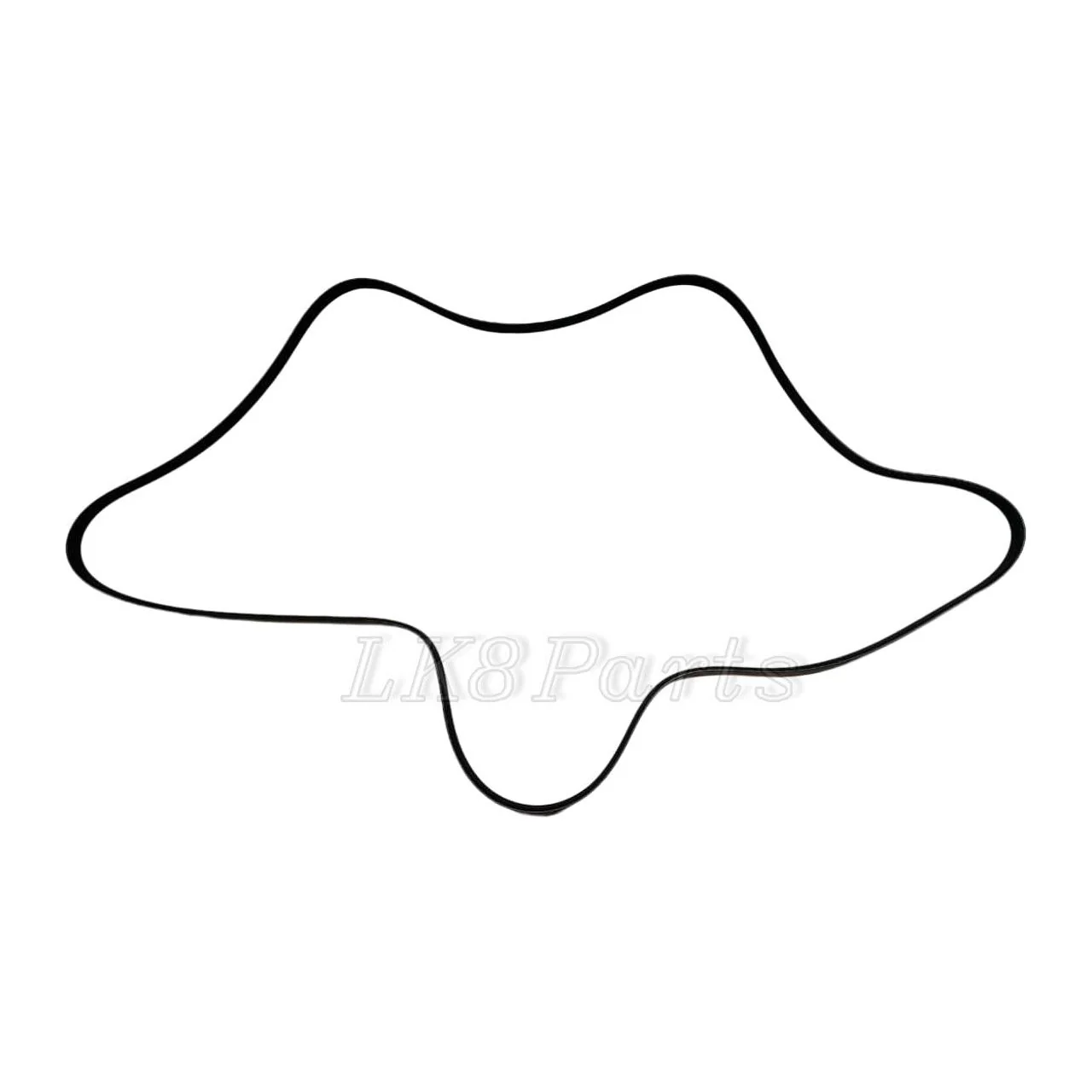 Primary Drive Serpentine Belt 5.0L - Image 2