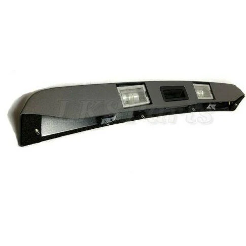 Tailgate Handle and Moulding - Image 5