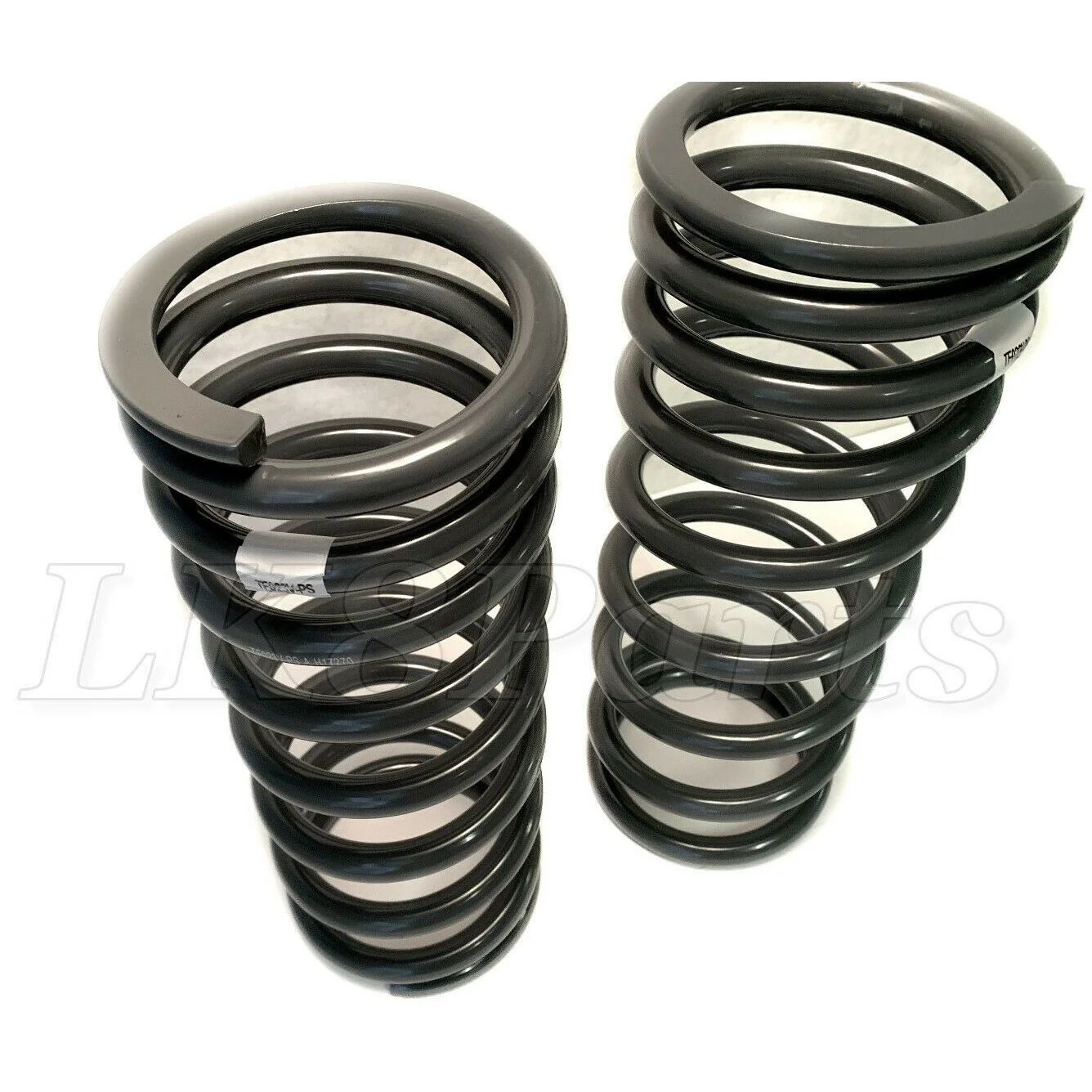 TERRAFIRMA MEDIUM LOAD REAR SPRINGS - Image 2